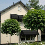 Markiezen-2.jpg